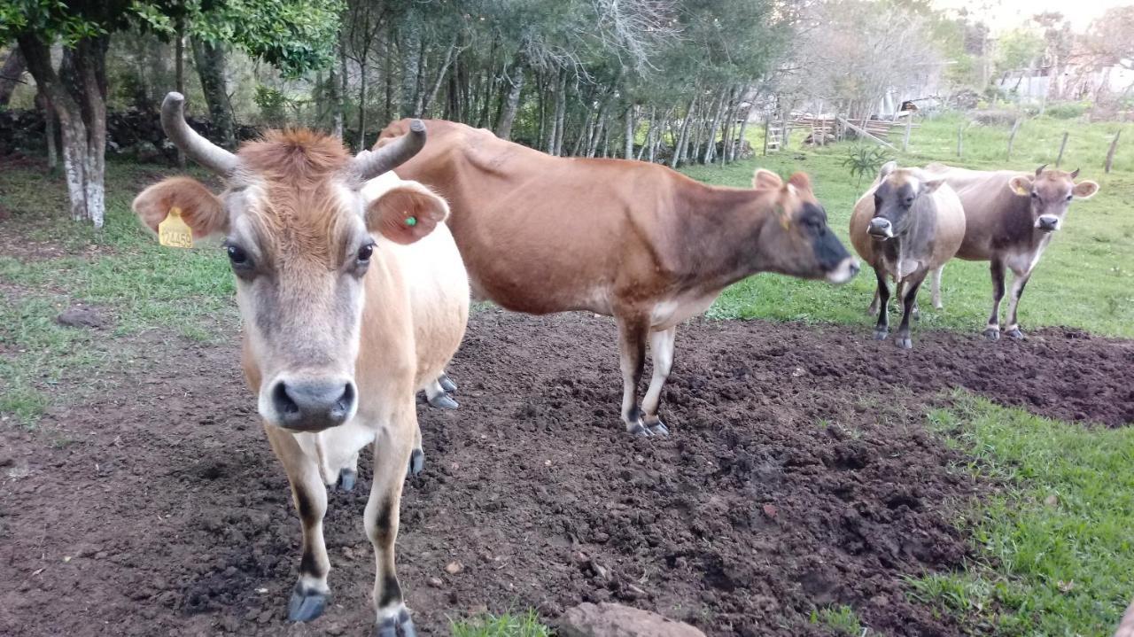 Refugio Do Lago Lages Zewnętrze zdjęcie